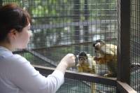 Emiko feeding the monkeys