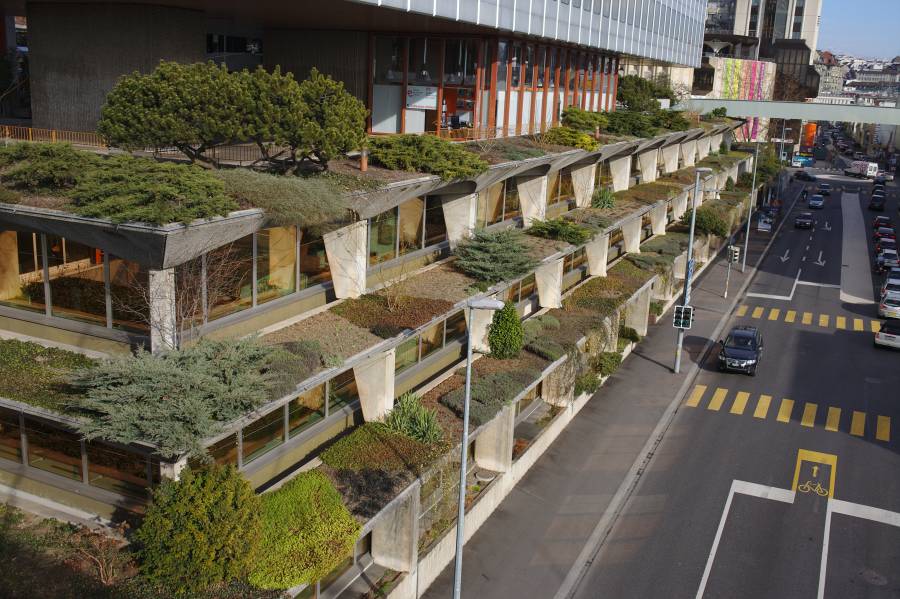 Green rooftops